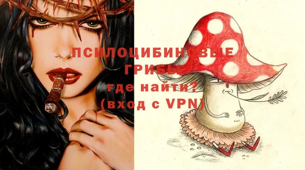 ALPHA PVP Рославль