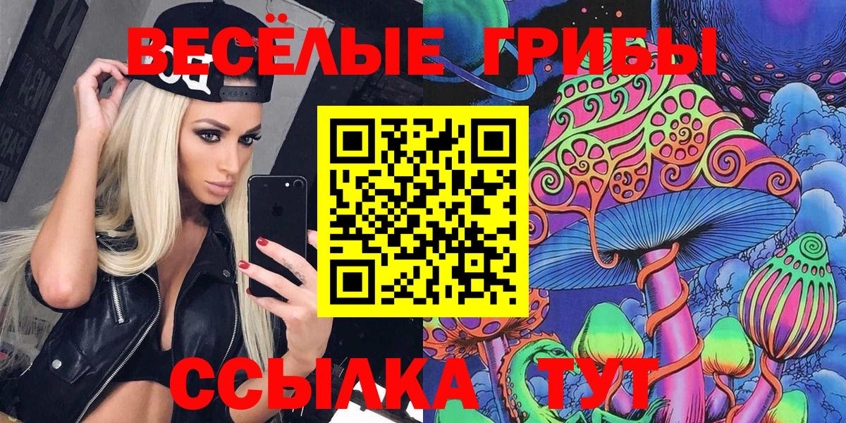 Сердобск  Галлюциногенные грибы GOLDEN TEACHER  Вход с VPN 